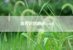 图片识别翻译(fanyi)