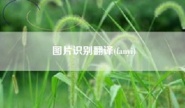 图片识别翻译(fanyi)