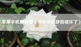 苹果手机静音键（苹果手机静音键坏了）