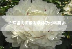 心理咨询师报考条件及材料要求