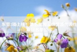 东莞2项上榜！第五批国家级非遗代表性项目名单公示