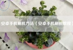 安卓手机刷机方法（安卓手机刷机教程）