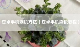 安卓手机刷机方法(安卓手机刷机教程)