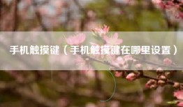 手机触摸键（手机触摸键在哪里设置）