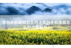 华为手机锁屏怎么办（华为手机锁屏怎么办才能解开）