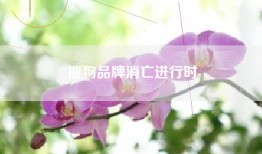 搜狗品牌消亡进行时