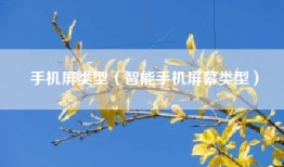 手机屏类型（智能手机屏幕类型）