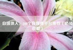 自媒体人，100个自媒体平台推荐（必须收藏）