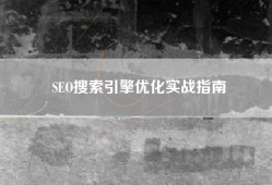 SEO搜索引擎优化实战指南