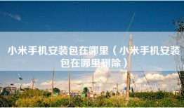 小米手机安装包在哪里（小米手机安装包在哪里删除）