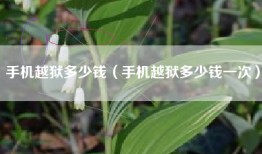 手机越狱多少钱（手机越狱多少钱一次）