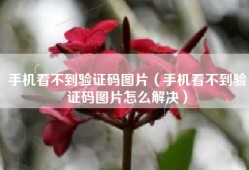 手机看不到验证码图片（手机看不到验证码图片怎么解决）