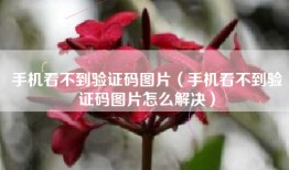 手机看不到验证码图片（手机看不到验证码图片怎么解决）
