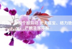 房地产开发个股异动 光大嘉宝、格力地产触及涨停板
