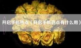 开启手机热点（开启手机热点有什么用）