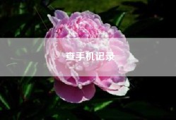 查手机记录