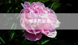查手机记录