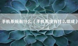 手机系统有什么（手机系统有什么组成）