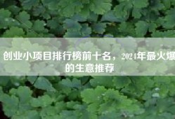 创业小项目排行榜前十名，2024年最火爆的生意推荐