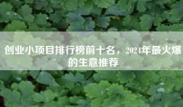 创业小项目排行榜前十名，2024年最火爆的生意推荐