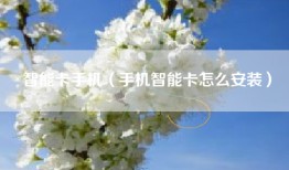 智能卡手机（手机智能卡怎么安装）
