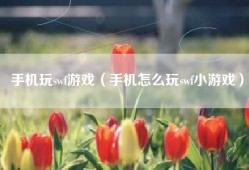 手机玩swf游戏（手机怎么玩swf小游戏）