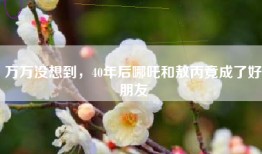 万万没想到，40年后哪吒和敖丙竟成了好朋友