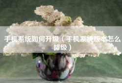 手机系统如何升级（手机系统版本怎么降级）