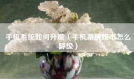 手机系统如何升级（手机系统版本怎么降级）