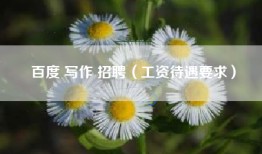 百度 写作 招聘（工资待遇要求）