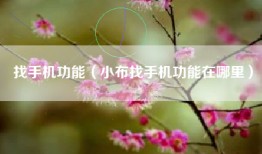 找手机功能（小布找手机功能在哪里）