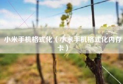 小米手机格式化（小米手机格式化内存卡）