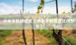 小米手机格式化（小米手机格式化内存卡）