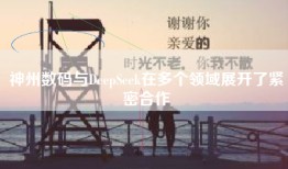 神州数码与DeepSeek在多个领域展开了紧密合作