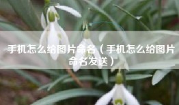 手机怎么给图片命名（手机怎么给图片命名发送）