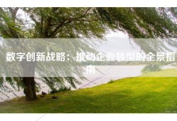 数字创新战略：推动企业转型的全景指南
