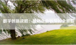 数字创新战略：推动企业转型的全景指南