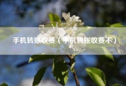 手机转账收费（手机转账收费不）