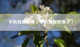 手机转账收费（手机转账收费不）