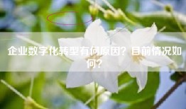 企业数字化转型有何原因？目前情况如何？