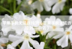 苹果手机无法连接到（苹果手机无法连接到app商店）