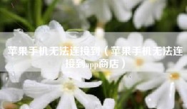 苹果手机无法连接到（苹果手机无法连接到app商店）