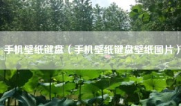 手机壁纸键盘（手机壁纸键盘壁纸图片）