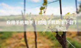 应用手机助手（应用手机助手下载）
