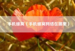 手机蜂窝（手机蜂窝网络在哪里）