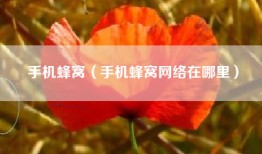 手机蜂窝（手机蜂窝网络在哪里）