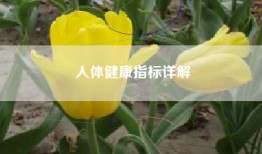 人体健康指标详解