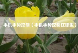手机手势控制（手机手势控制在哪里）