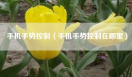 手机手势控制（手机手势控制在哪里）