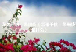 苹果手机一条黑线（苹果手机一条黑线是什么）